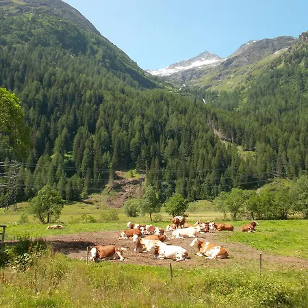 Riepleralm Ferienhaus