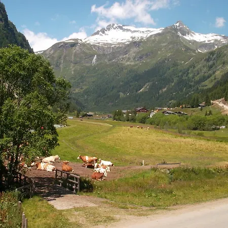Riepleralm *