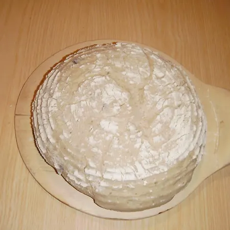 Riepleralm Feriehus *