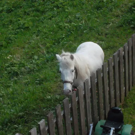 Riepleralm * Matrei in Osttirol