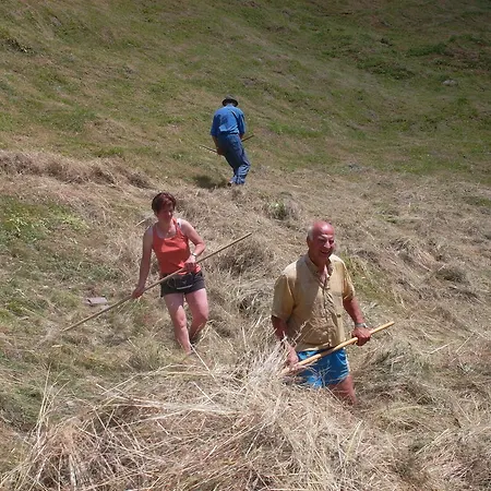 Feriehus Riepleralm *