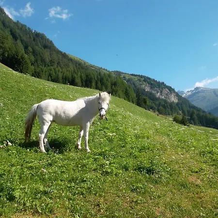 Feriehus Riepleralm Matrei in Osttirol